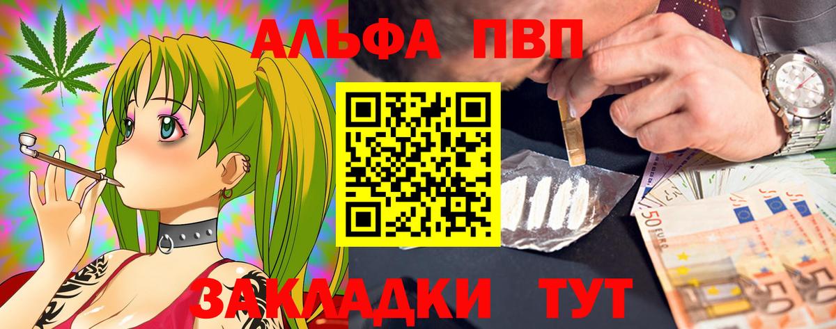 Альфа ПВП СК Губкинский