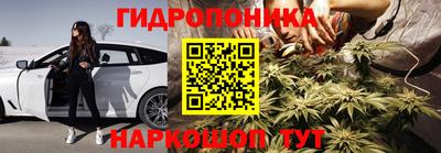 гашик Малгобек