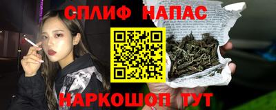 гашик Малгобек