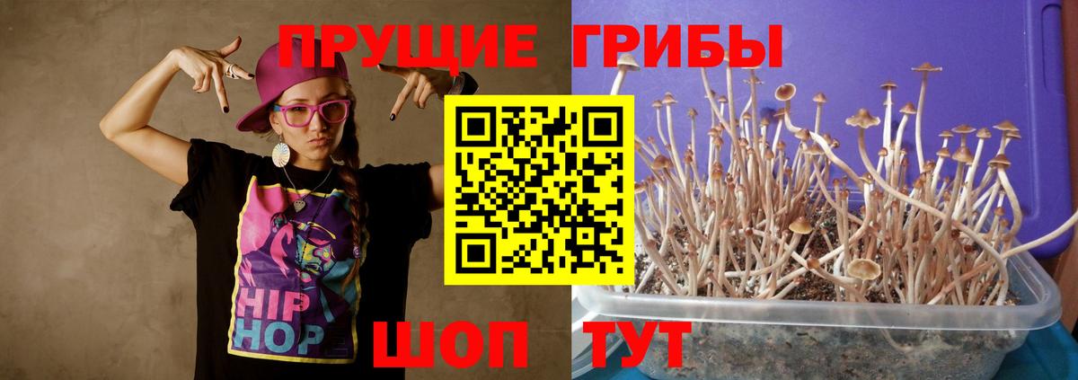 Губкинский  Галлюциногенные грибы ЛСД  Вход с VPN  Галлюциногенные грибы GOLDEN TEACHER 