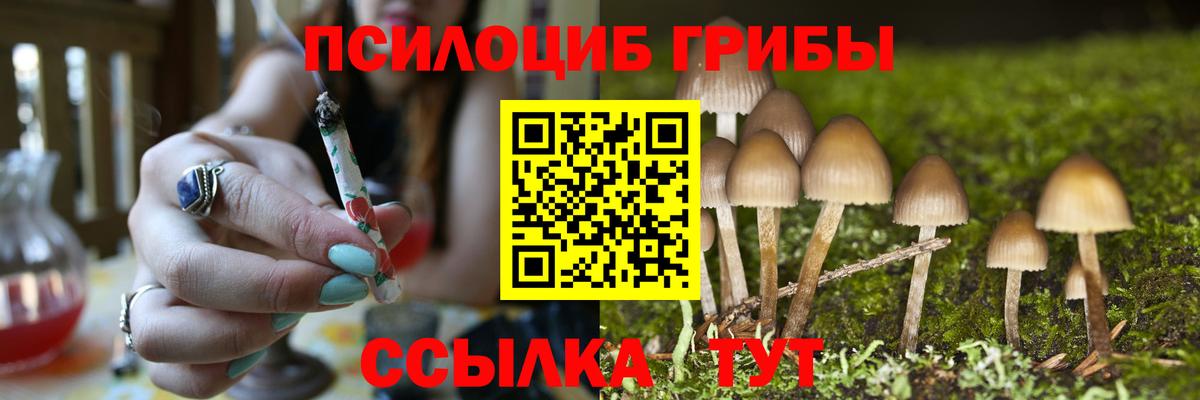 Галлюциногенные грибы Magic Shrooms Губкинский